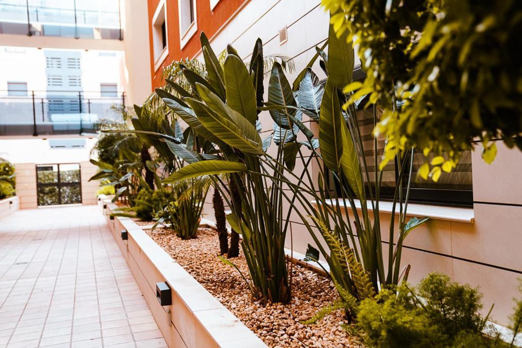 Sol Denia Apartment Exterior foto